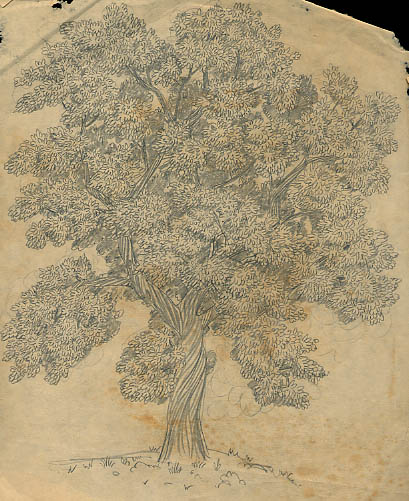 04_tree